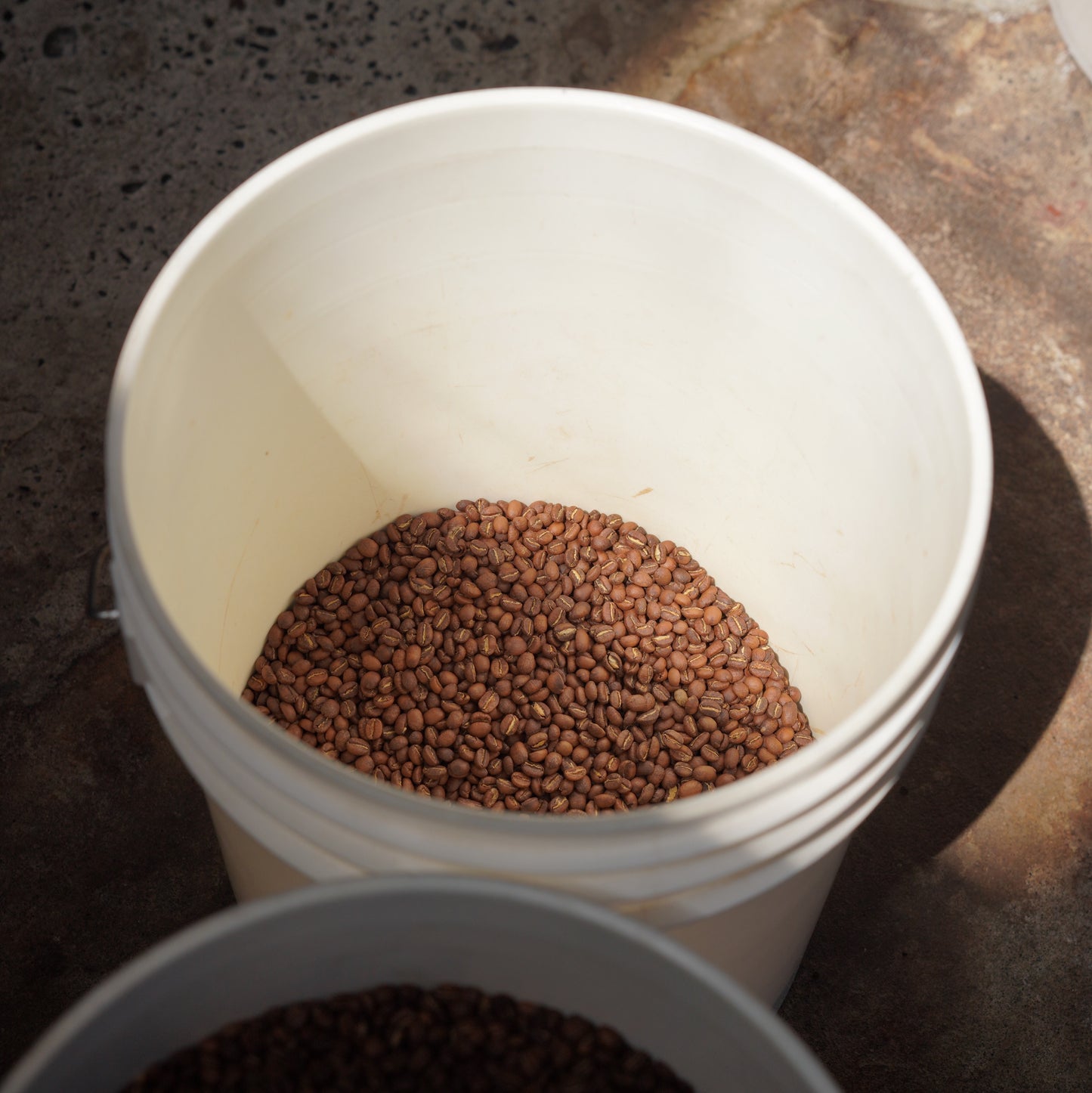 Coffee Beans "Honduras" roasted by AKITO COFFEE