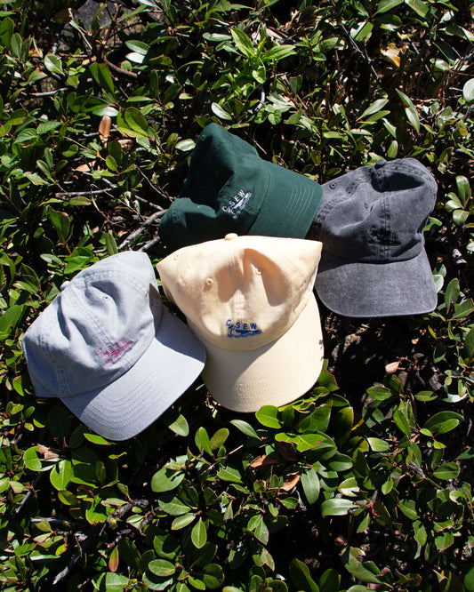 csew souvenir cap